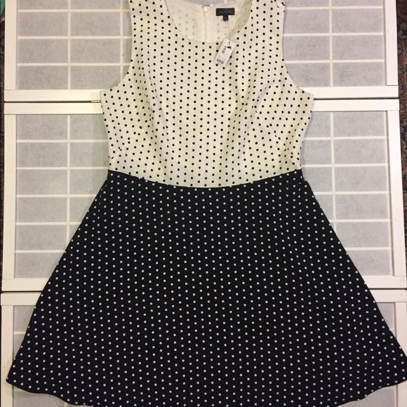 women's plus size polka dot dress
